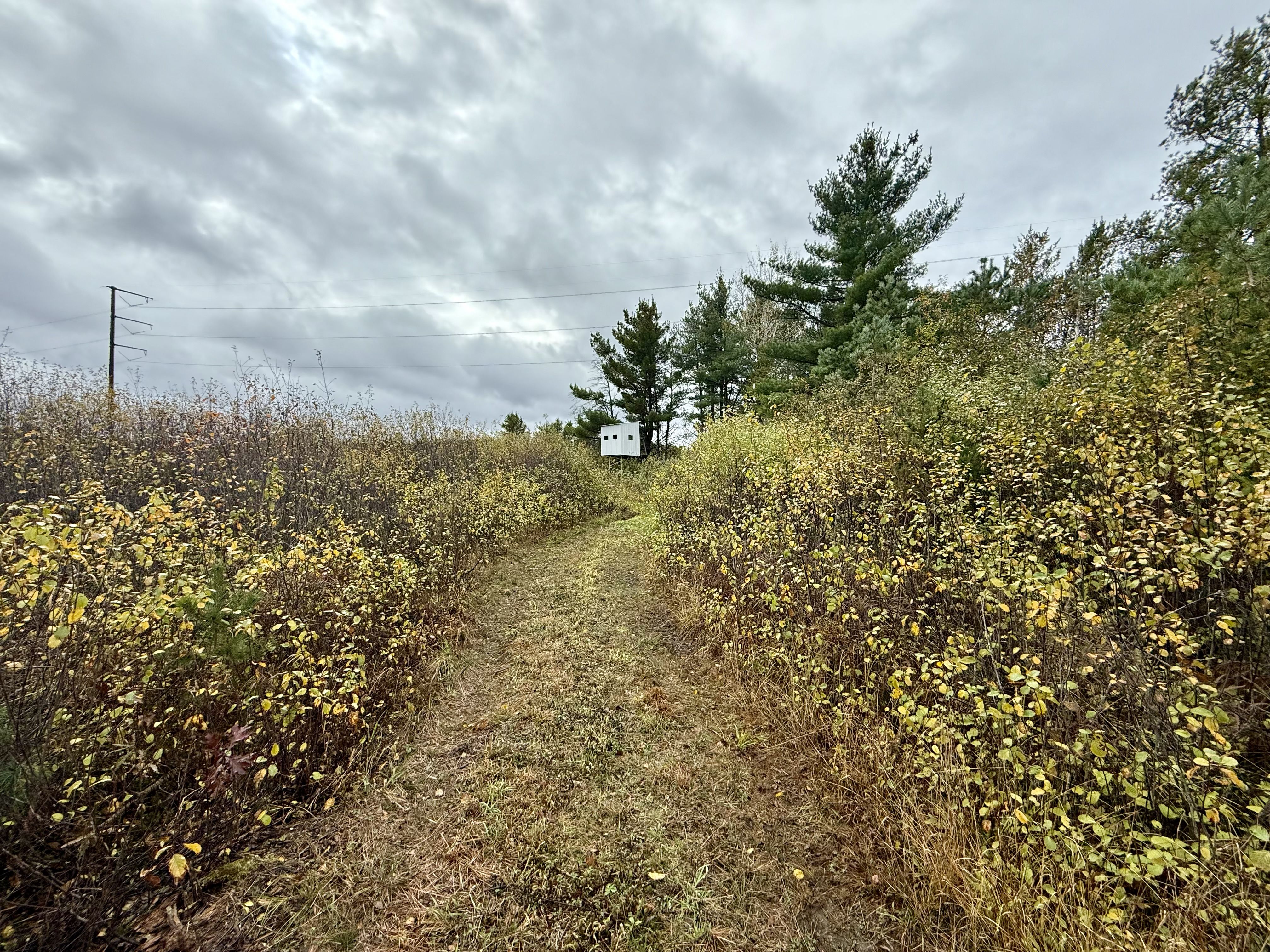 Listing Photo: Photo Oct 21 2025, 1 14 12 PM